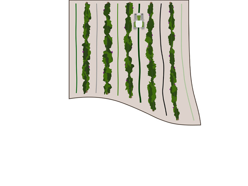 Fendt-Guide-SingleCOntours.jpg