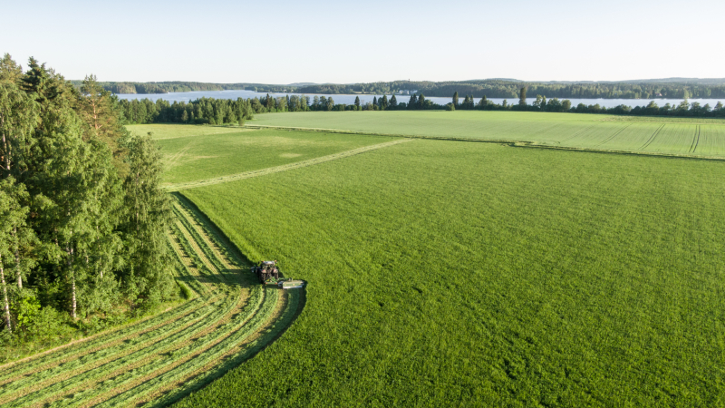 valtra-g-series-hayday-field-wayline-800-450.jpg